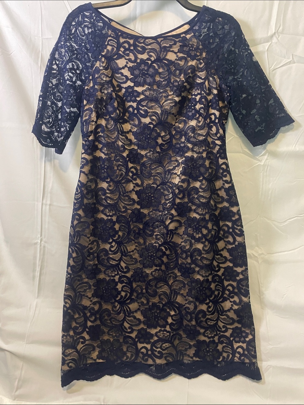 Vince Camuto Navy and tan lace sheath dress 3/4 sleeve